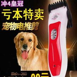 泰迪推子推毛视频,轻松打造完美造型