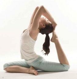 视频瑜伽初学视频教程,入门教程视频解析