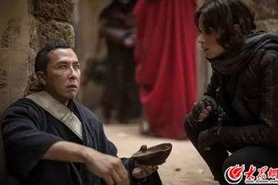 甄子丹采访视频,武术精神与电影人生的交织